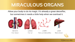 Miraculous Organs